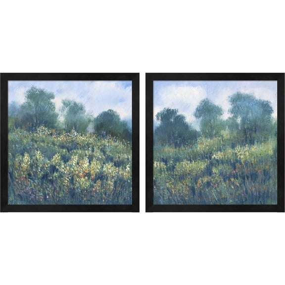 Great Art Now Meadow Wildflowers by Timothy O'Toole, 2 Piece Framed Art Set Each 13"W x 13"H
