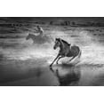 thumbnail image 2 of Zhang, Anna 14x11 White Modern Wood Framed Museum Art Print Titled - Running Horses, 2 of 4