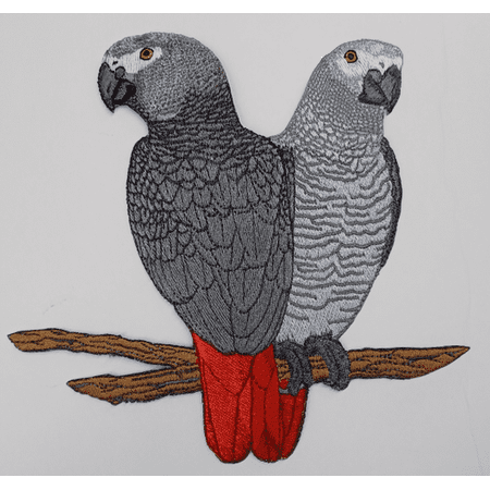 African Greys Pair, Gray Parrot Embroidered Patch 7" x 7" Free USA Shipping