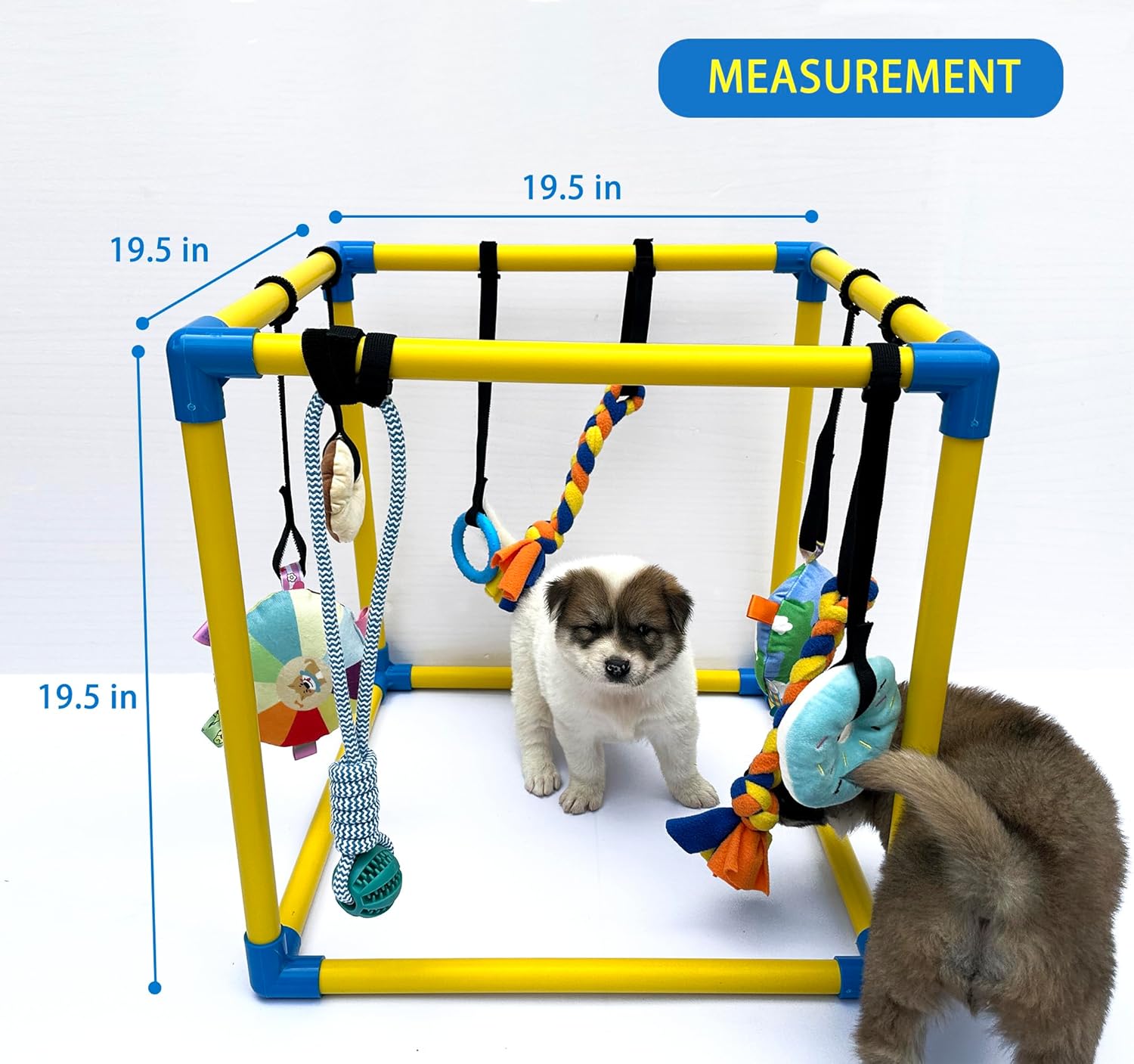 Puppy Play Gym with 8 Hanging Toys, Small Dogs Indoor Jungle Gym, PVC Frame with Bungee Straps Enrichment Activity Center