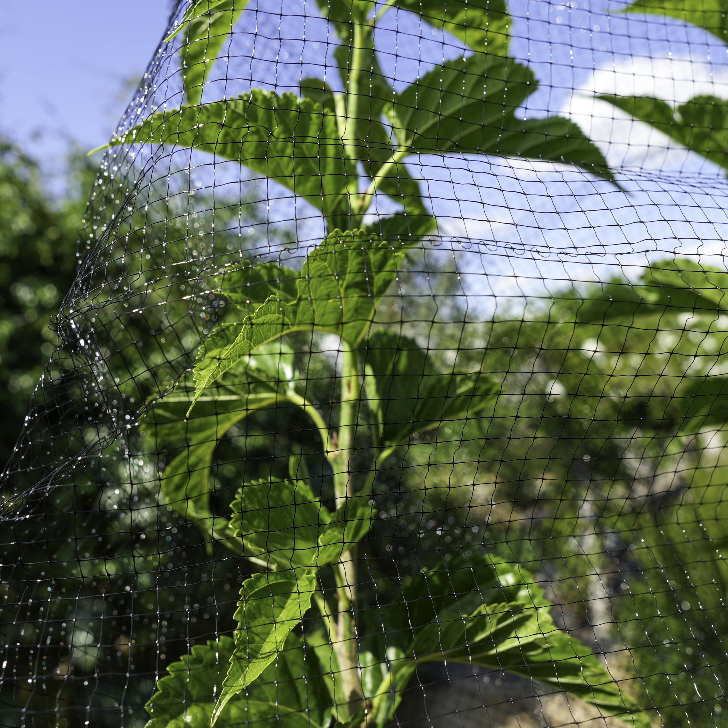 Expert Gardener 7' x 100' Black Wildlife Netting