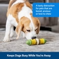 thumbnail image 5 of Juguete para perros PetSafe Busy Buddy Cravin Corncob con anillo de golosinas, 5 of 5
