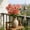 Watermelon Red, variant on Artificial Flowers Wedding Decorations Living Room Ornaments - Realistic Faux Floral Arrangements for Home & Event Decor Pink