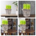 thumbnail image 6 of WRISTBIQUE Planter Clear Self Watering Pot For Homeowners Garden 4Pcs 7.3X6.5X5.5In, 6 of 8