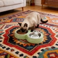 thumbnail image 4 of SHENGXINY Stainless Steel Cat Food Bowl and Water Bowl Set - Frog Shaped Double Stainless Steel Bowls, Dual Food Water Feeder for Small Medium Dogs & Cats Green 10.63x5.91x1.57in, 4 of 6