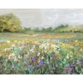 thumbnail image 2 of Swatland, Sally 18x15 White Modern Wood Framed Museum Art Print Titled - Country Meadow, 2 of 4