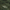 Green Camo, variant on Lee® Men's Dakota Cargo Short