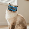 thumbnail image 4 of Stylish Pet Sunglasses Protective Goggles With Adjustable Head Strap For Safe Outdoor Adventures And Driving Comfort, 4 of 5