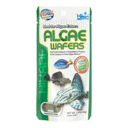 Hikari Sinking Algae Wafers Tropical Fish Food, 1.41 (Best Tropical Algae Eaters)