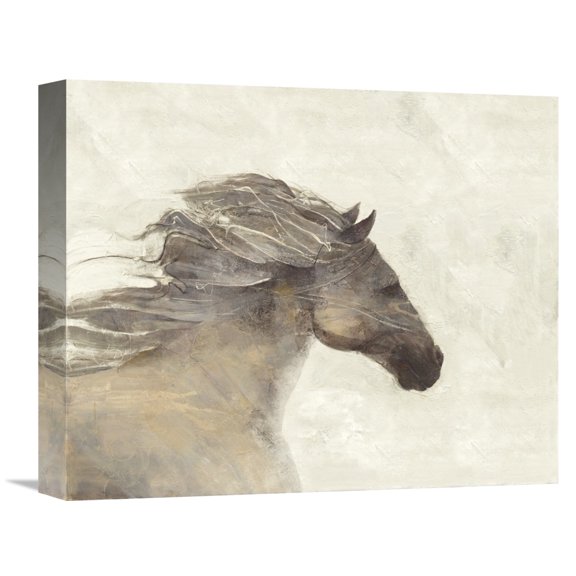Global Gallery Albena Hristova 'Into the Wind Ivory Reversed' Canvas Wall Art
