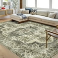 thumbnail image 2 of Hasoo Area Rug for Living Room Vintage Non Slip Throw Rugs Floral Indoor Carpet, Taupe 6' x 9, 2 of 5