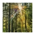 thumbnail image 4 of Acheng Sunbeam Trees Forest Square Fitted Table Cloths 100% Polyester Fiber 52*52, 4 of 8