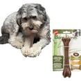 thumbnail image 6 of SPOT Bam-Bones Bone Dog Chew Toy, 5.25", Baccon Flavor, For Adult Dogs & Teething Puppies Under 30lbs, Light to Moderate Chewers, Made with Strong Bamboo Fiber, 6 of 17