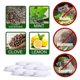 thumbnail image 5 of 20pcs With Clove And Lemon Rodent Repellent Keep Mice Away Mice Repellent Natural Peppermint Oil Mouse And Rats Repellent To Repel Mice And Rats, 5 of 5