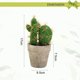 thumbnail image 2 of Mini planta de cactus artificial en maceta, decoración interior creativa, pequeña flor de simulación, 2 of 5