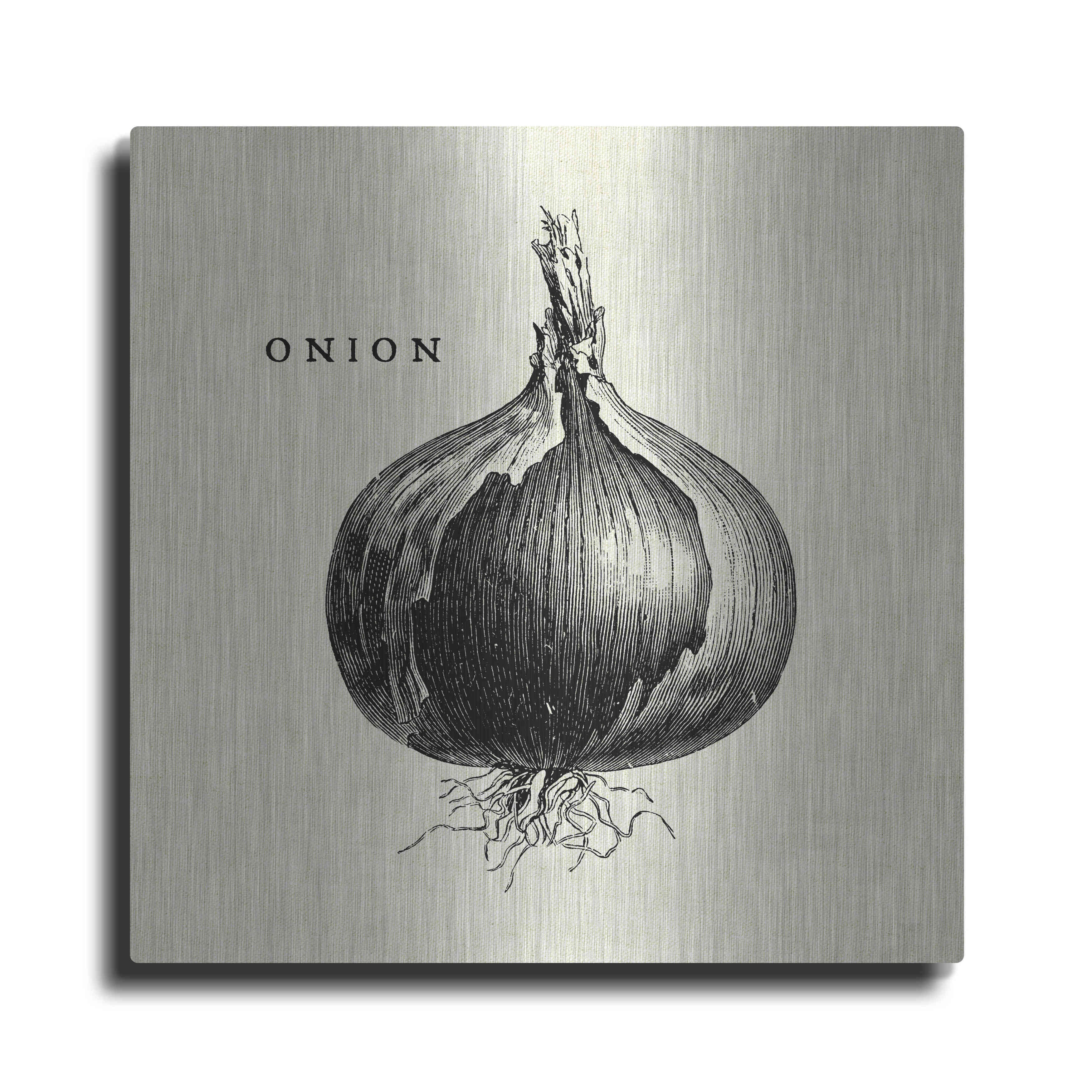 How To Draw An Onion Step By Step: Pencil Sketch Onion Drawing - YouTube