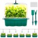 thumbnail image 1 of Bandeja para Germinación Ourhom con Luz y Domo Ajustable 10 cm, 1 of 7