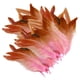 thumbnail image 5 of 50 piezas de plumas para manualidades, plumas decorativas portátiles, plumas de colores para Rosa, 5 of 9