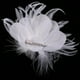 thumbnail image 5 of Charm de imitación Horquilla Pinzas para el cabello Danza del vientre Boda nupcial, 5 of 7