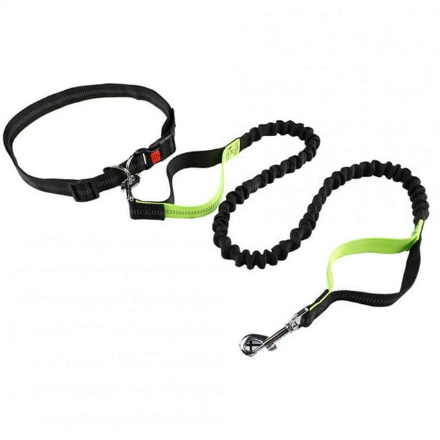 Laisse pour Chien Premium Mains Libres Longueur Poignée Laisse Élastique Ceinture Réglable Corde Rétractable pour Marche Randonnée Jogging Vélo Course Noir Vert 2.5mmx140-170c