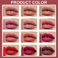 Pigment for Lip Gloss Lipstick Dark Trending Makeup Roller Lip Gloss