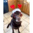 thumbnail image 4 of Midlee Valentine's Heart Large Dog Headband, 4 of 5