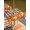 Orange/Red/Pumpkin Leaf/Black, variant on Outdoor Tablecloth with Umbrella Hole and Zipper, Thanksgiving Rectangle Table Cloth 60x84 Inch Waterproof Tablecloth, Autumn Orange Red Pumpkin Leaf Plaid Black Picnic Table Cover for Patio Camping
