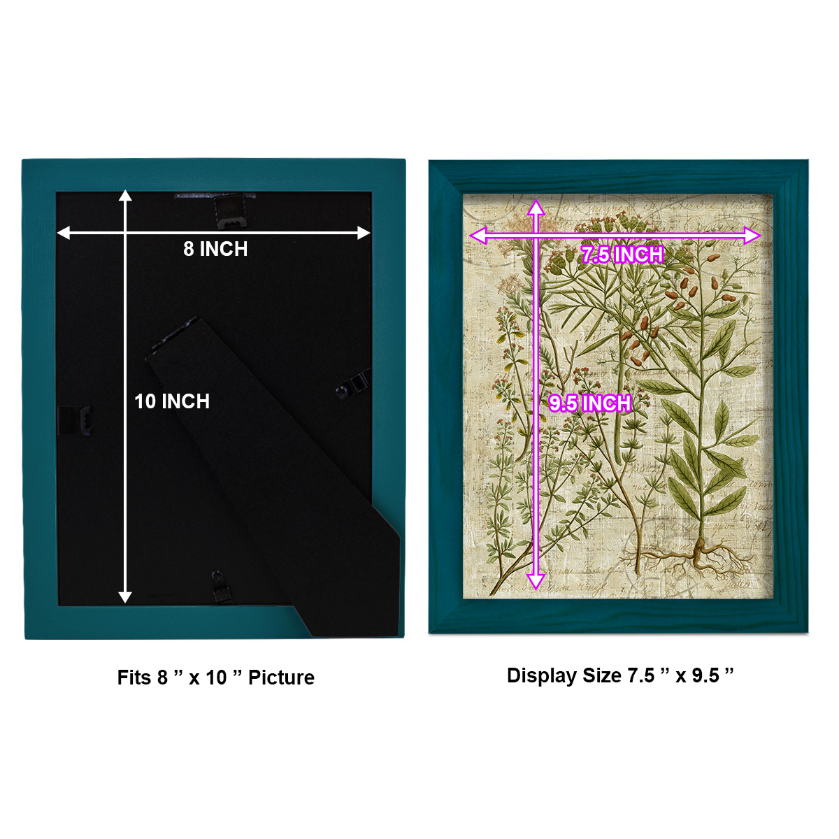 Garden Verses I -Framed Print w/glass-Ocean Blue