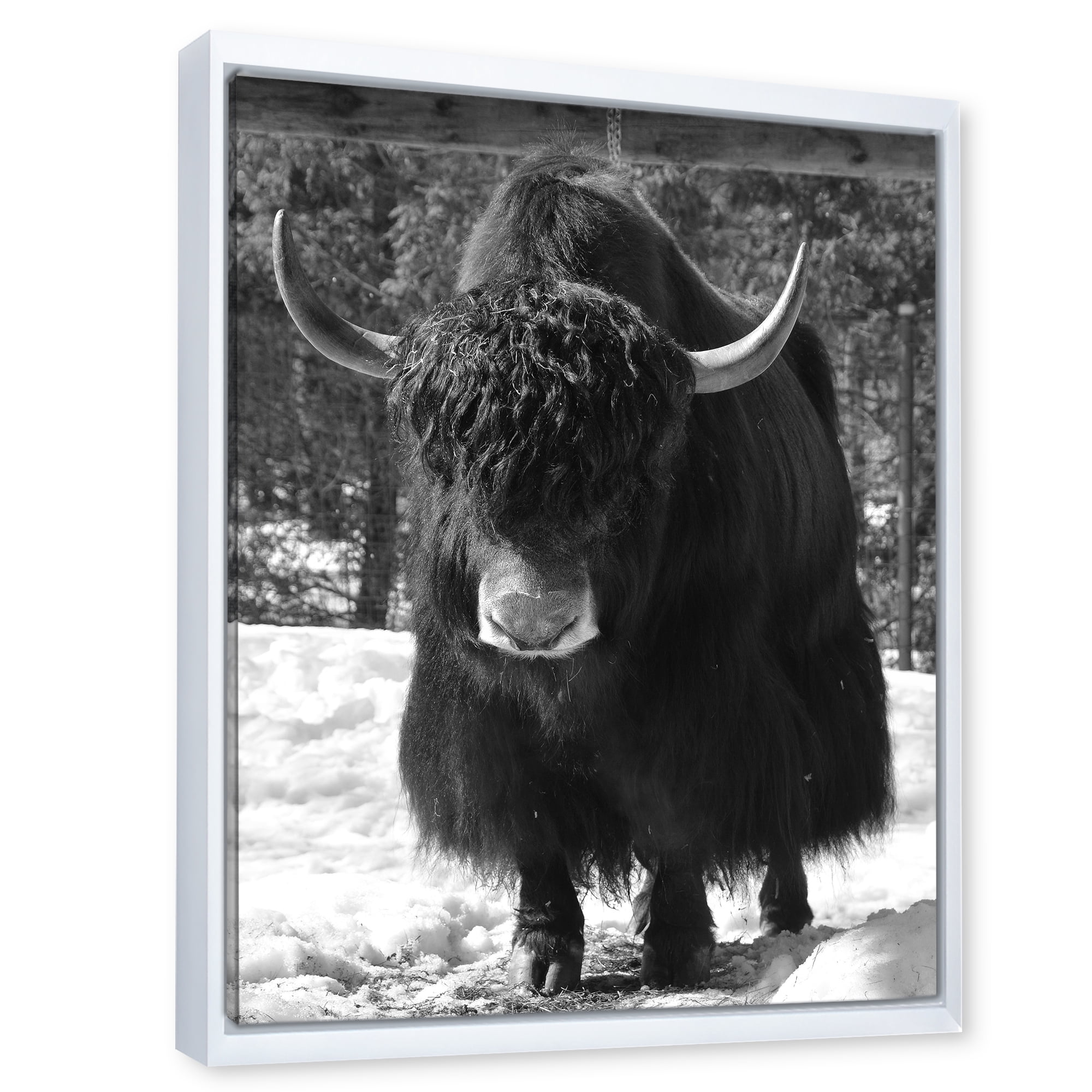 Portrait Of Monochrome Wild Bull In Winter Forest I 12 in x 20 in Framed Photography Canvas Art Print, by Designart