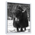 thumbnail image 3 of Designart 'Portrait Of Monochrome Wild Bull In Winter Forest I' Farmhouse Framed Canvas Wall Art Print, 3 of 5