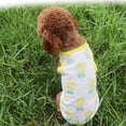 thumbnail image 6 of Cooling Shirts Breathable Instant Cooling Dogs Vest Lightweight for Summer Dog Clothes - shape1, 6 of 6