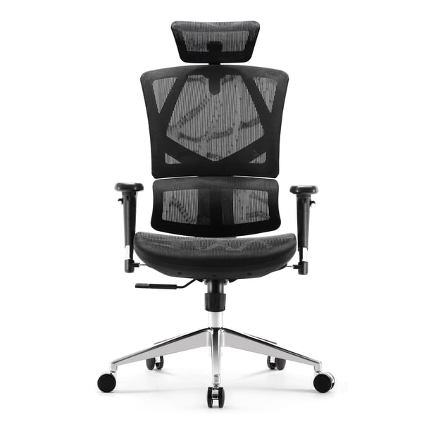 SIHOO Ergonomic Office High Back Mesh Chair with Adjustable Lumbar