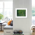 thumbnail image 3 of Trees and Undergrowth, c.1887, Scenic Framed Art Print Wall Art by Vincent van Gogh, 3 of 5