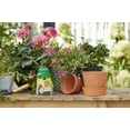 thumbnail image 6 of Miracle-Gro Shake 'N Feed All Purpose Plant Food, 6 of 10