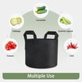 thumbnail image 6 of 3/ 5/10 Gallon Growth Bag , Thick Fabric Flowerpot Suitable for Plants, Strong Handle and Reinforced Stitching, with Label, Black., 6 of 8