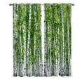 thumbnail image 2 of Birch Trees Nature Outdoor Living Room Kitchen Indoor Print Decor Window Treatment Curtain Panels With Gromme, 2 of 5