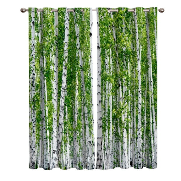 Birch Trees Nature Outdoor Living Room Kitchen Indoor Print Decor Window Treatment Curtain Panels W