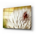 thumbnail image 2 of Epic Art 'Thistle Bud' by Jessica Rogers, Acrylic Glass Wall Art, 24"x16", 2 of 8