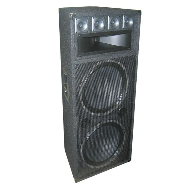 Zogenaamd leerling schild Gem Sound TR301 15" Dual Passive Dj Speaker - Walmart.com