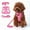 Pink, variant on Didog No Pull Small Dog Cat Harness Collar Leash Set Cute Bowtie Classic Plaid Fabric Adjsutable