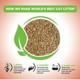 thumbnail image 4 of WORLD'S BEST CAT LITTER Poop Fighter Maximum Odor Defense - Long-Lasting Odor Control, Natural Ingredients, Quick Clumping, Flushable, 99% Dust Free, Easy Scooping - 15lb Bag, 4 of 9