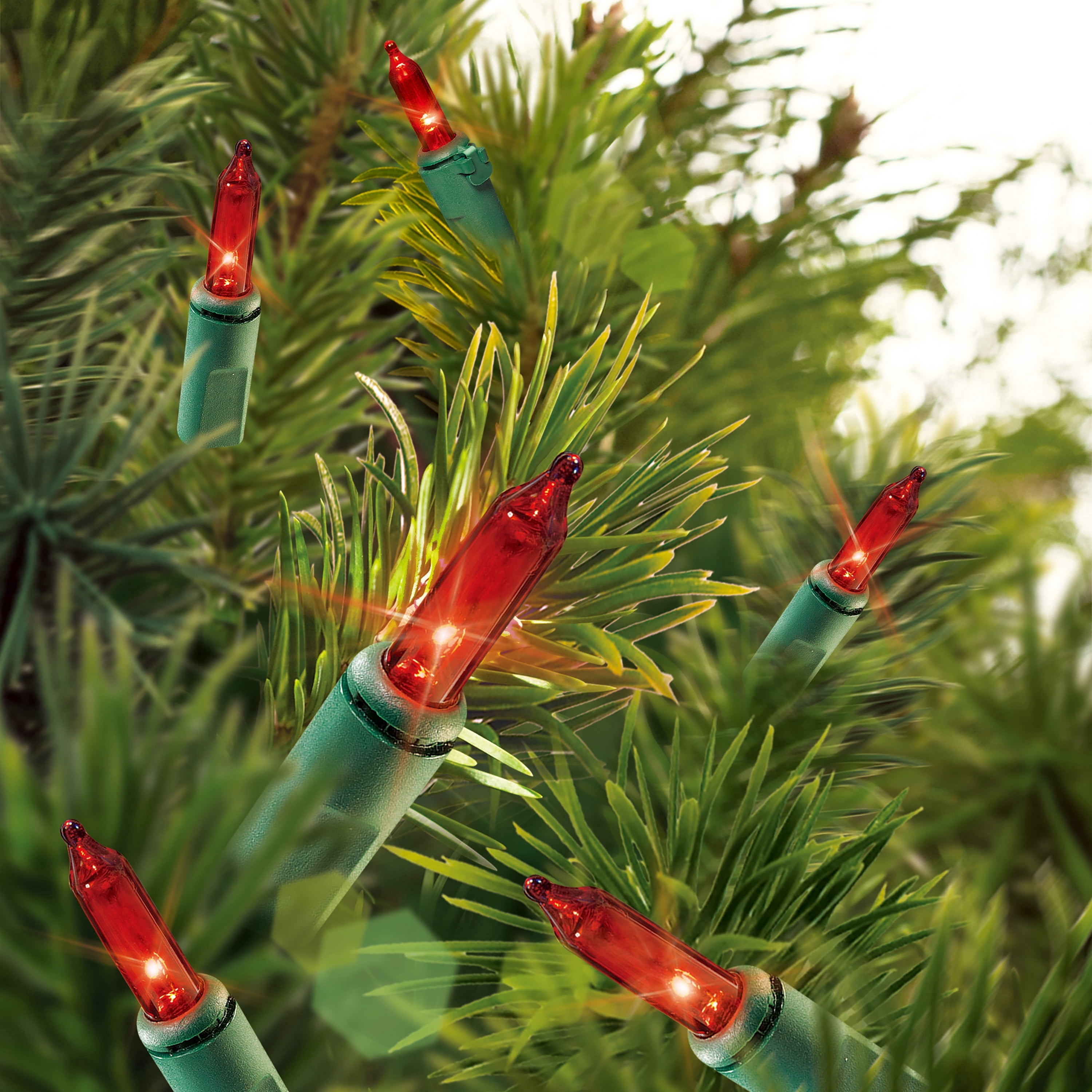 Indoor/Outdoor 300-Count Incandescent Mini Christmas String Lights, Red, Green Wire, 59', by Holiday Time