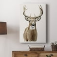 thumbnail image 5 of Handsome Whitetail II Premium Gallery Wrapped Canvas - Ready to Hang, 5 of 9