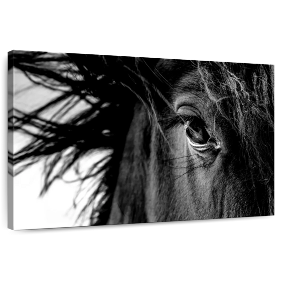 Elephant Stock Horse Up Close Wall Art - Horizontal Canvas Wall Art - Living Room Wall Decor - Photography Animal Canvas - Black And White Decor - 12" x 8"