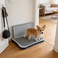 thumbnail image 4 of Pet Toilet With Spatter Guard Dogs Potty Tray For Small Medium Large Dogs Indoor Pee Pad Holders With Removable Grids Housebreaking Training Litter Box For Dogs, 4 of 6