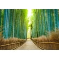 thumbnail image 2 of Wall26 Bamboo Forest with a Cleared Path Headed into a Sunny clearing - Green and Gold Branches - Landscape - Wall Mural, Removable Sticker, Home Decor - 100x144 inches, 2 of 3