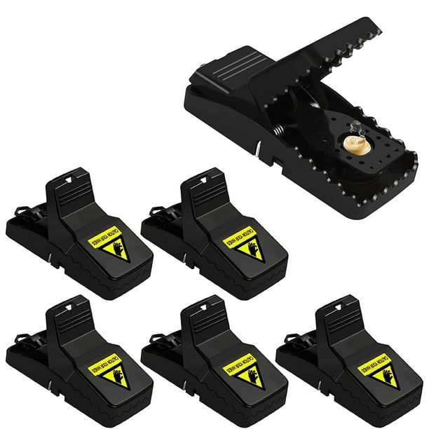 Walmart outlet mouse traps