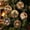 A,3.15*3.15IN, variant on DIY Diamond Art Painting Christmas Wooden Ornaments Kit (Set of 6), Round Christmas decorations | Special-Shaped Gem & Pearl Hanging Craft Decor with Twine for Holiday Window Christmas Tree Home