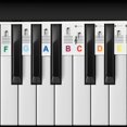 thumbnail image 5 of Removable Piano Keyboard Note Silicone and No Need Stickers Learn Piano Guide Marker Accessories, 5 of 5