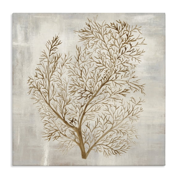 Stupell Industries Beige Tides Botanical Canvas Wall Art design by Hannah Dawson, 17 x 17